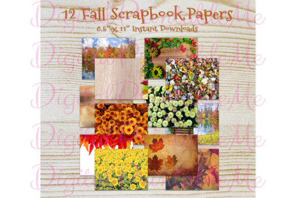Download Fall Autumn Photo Thanksgiving Paper - Paper Collection