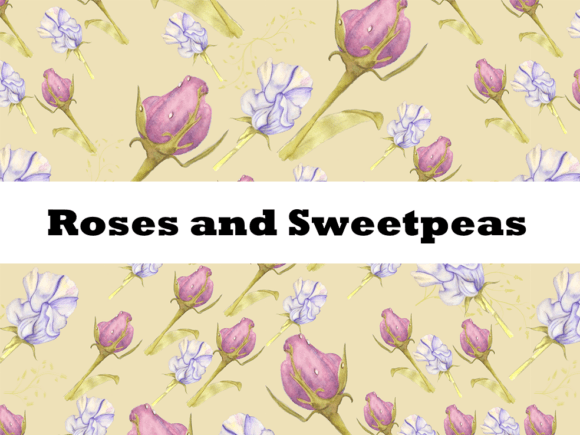 Download Hand Drawn Roses and Sweetpeas Paper - Paper Collection